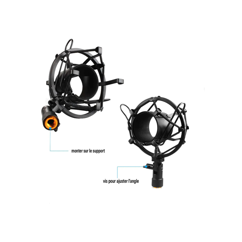 Pack micro Power Studio Vibe B1 Bundle XLR