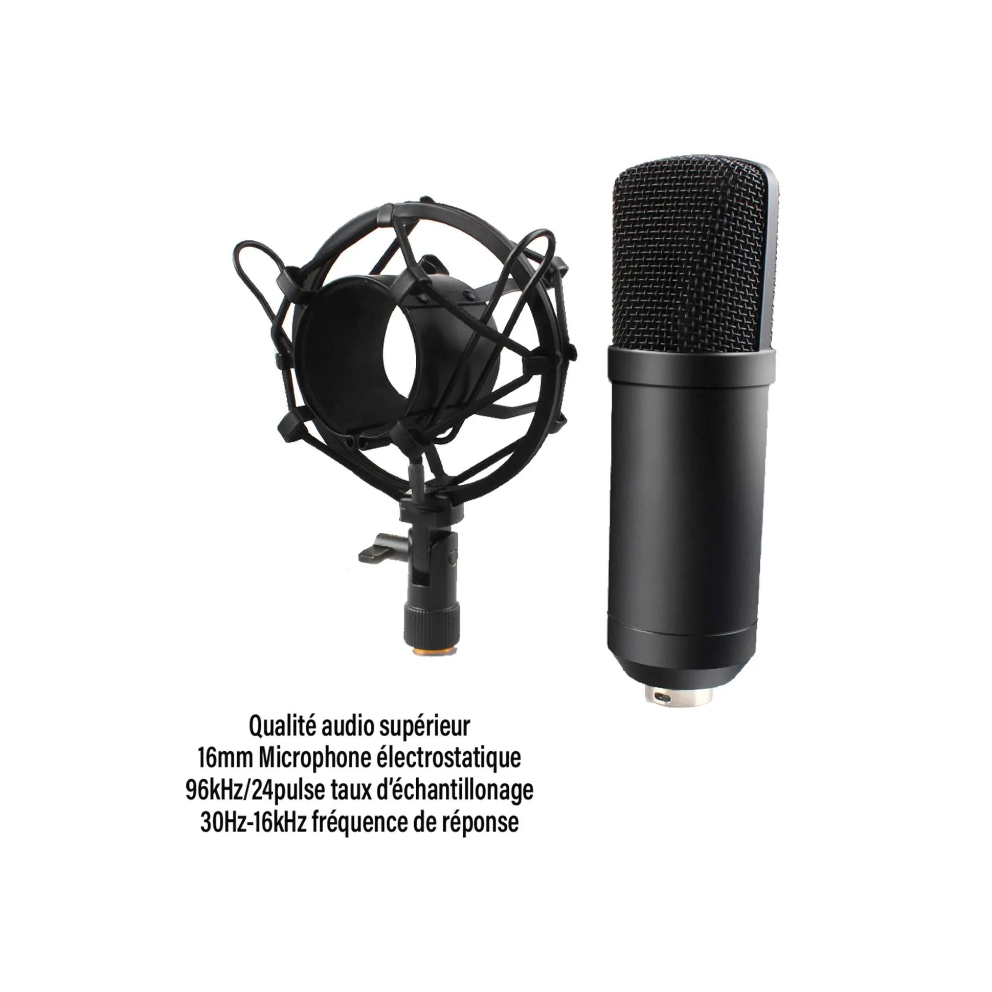 Pack micro Power Studio Vibe B1 Bundle XLR
