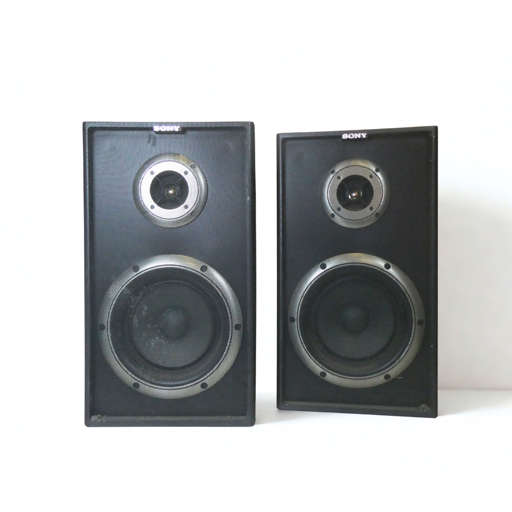 Enceintes Sony SS-A 301