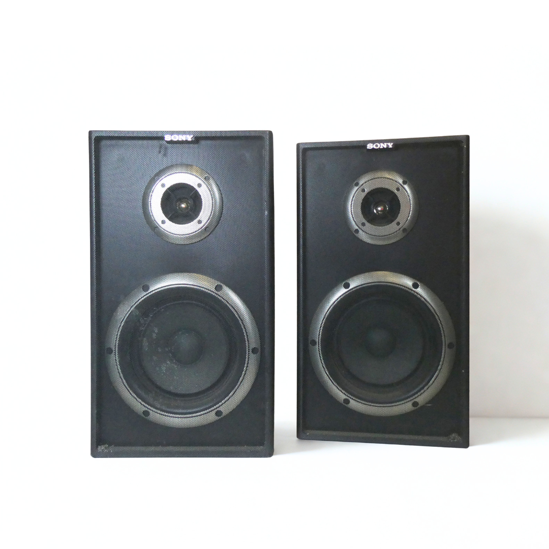 Enceintes Sony SS-A 301