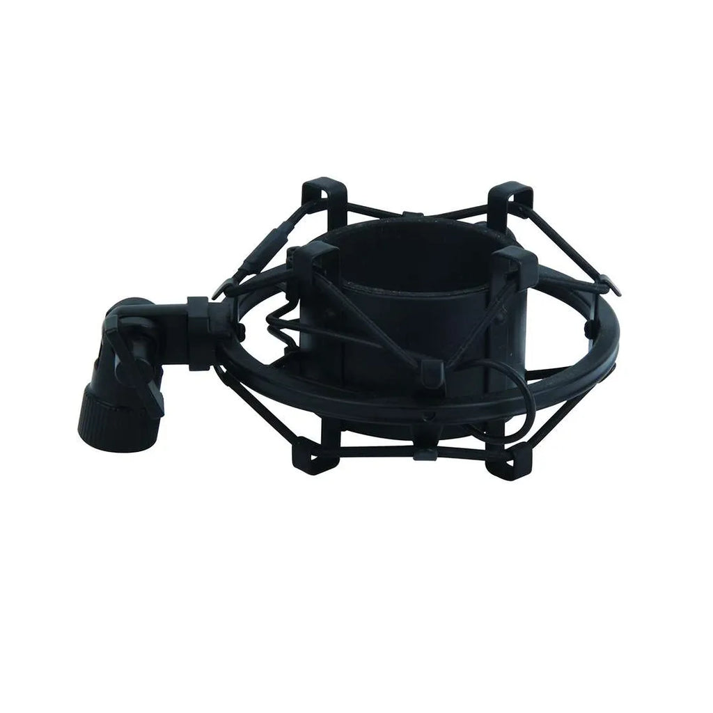 Pack micro Power Studio Vibe D1 XLR-RF