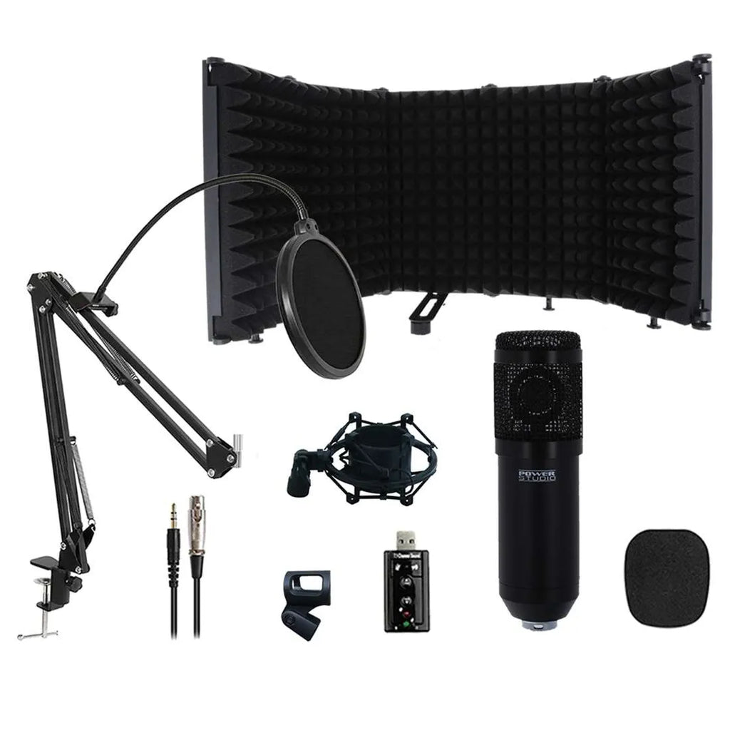Pack micro Power Studio Vibe D1 XLR-RF