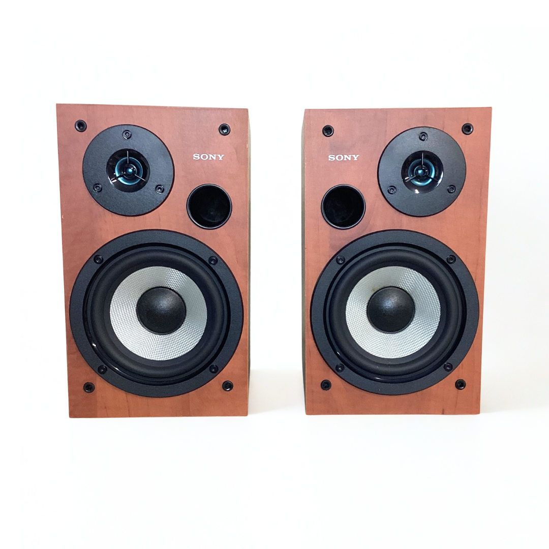 Enceintes Sony SS-WS2D