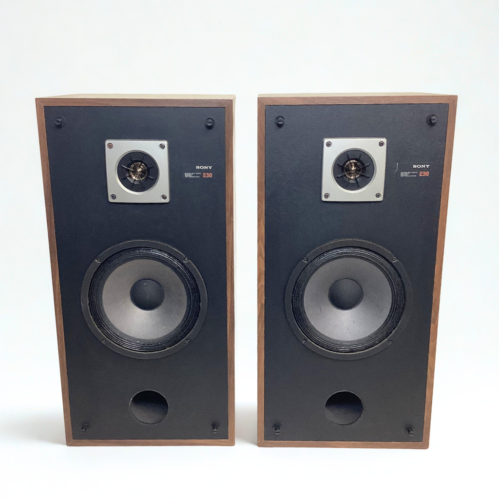 Enceintes Sony SS-E30