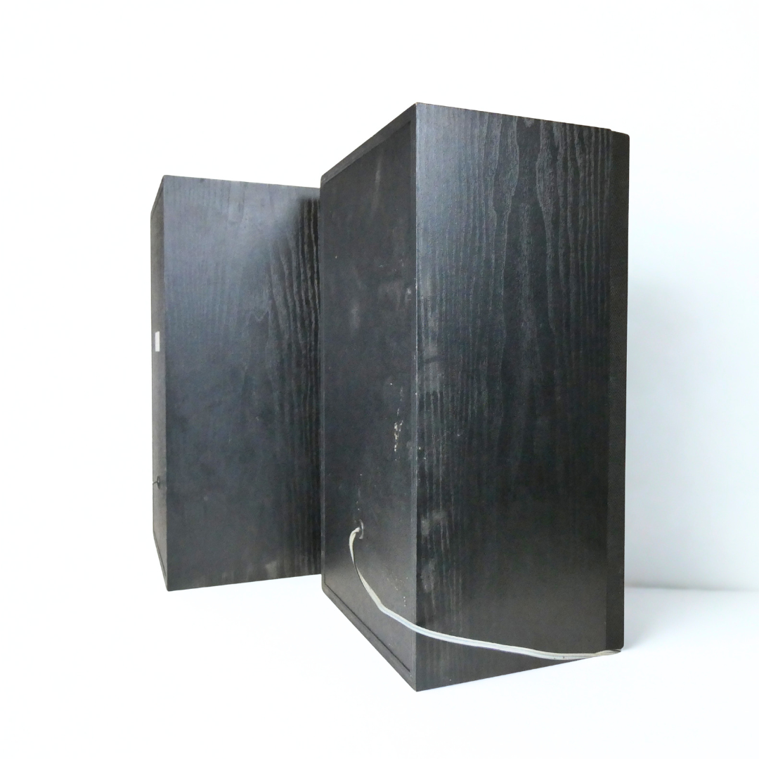 Enceintes Sony SS-A 301