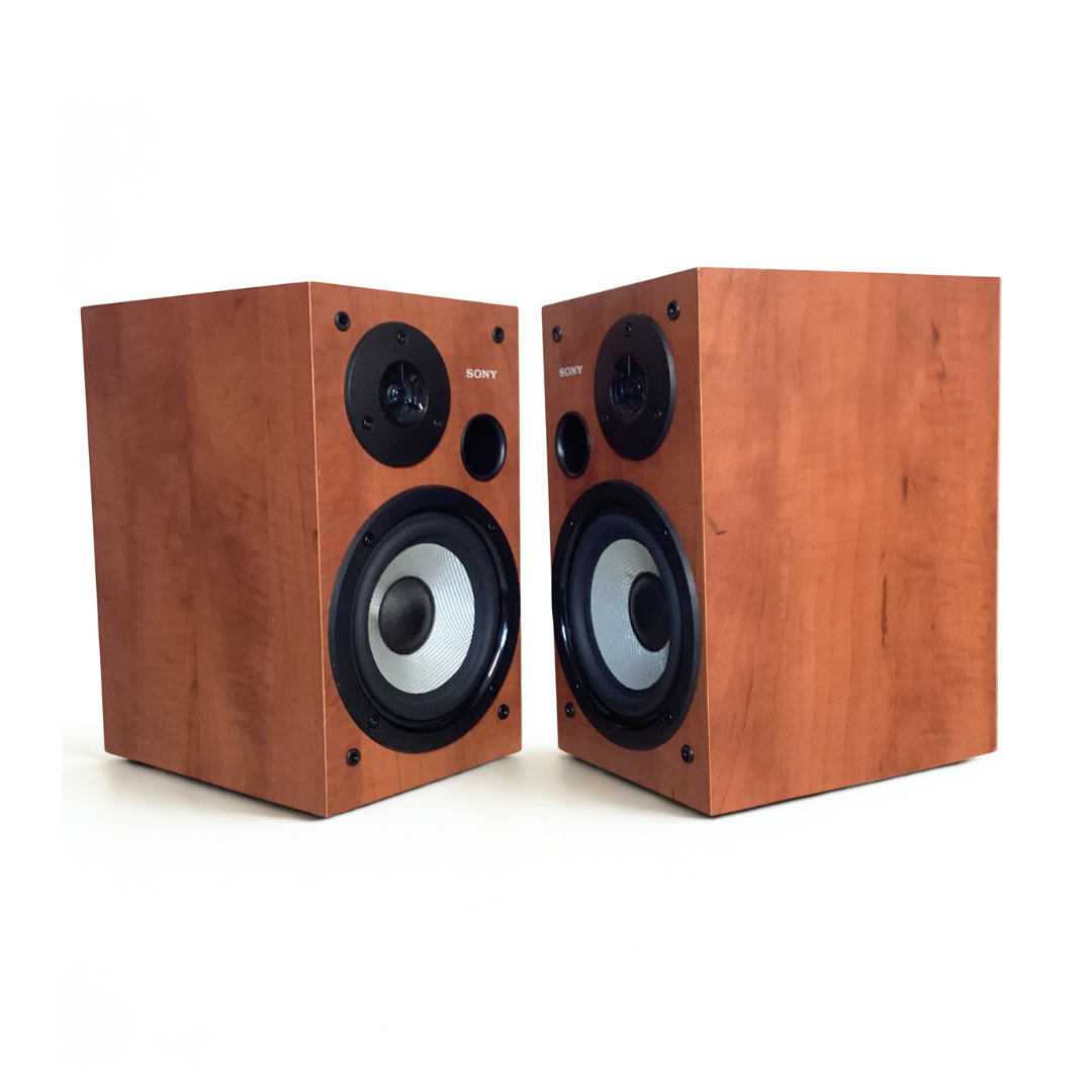 Enceintes Sony SS-WS2D