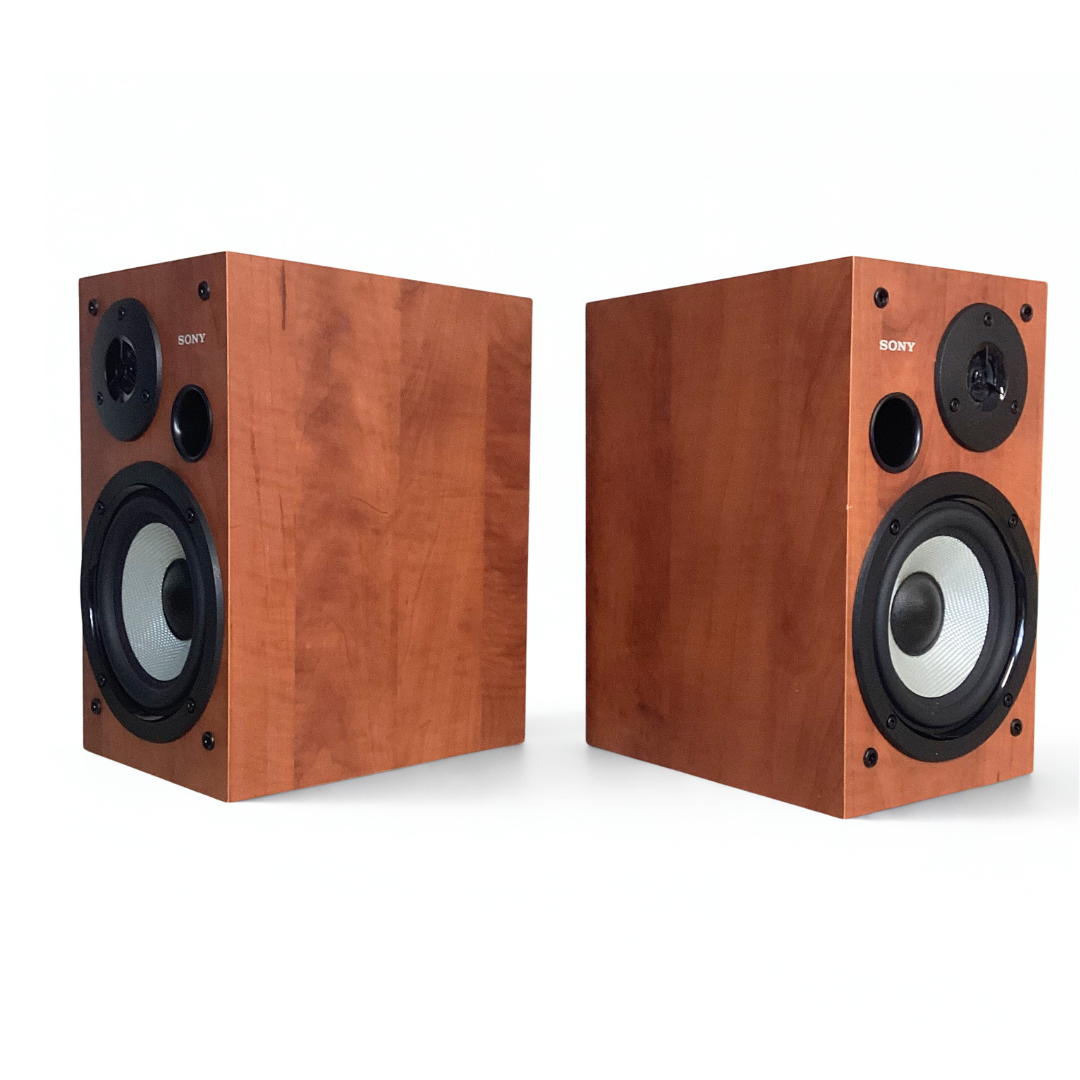 Enceintes Sony SS-WS2D