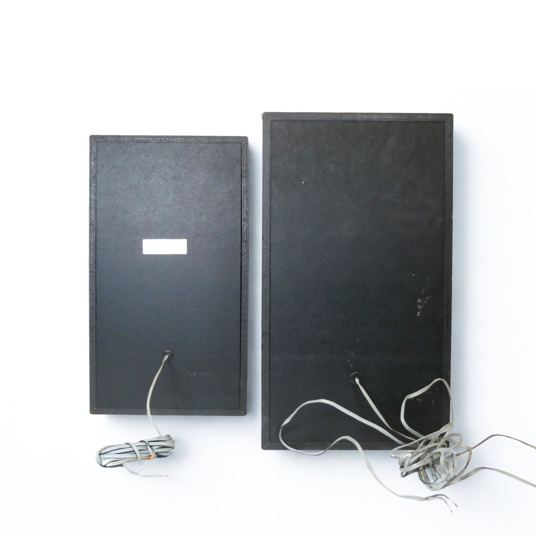 Enceintes Sony SS-A 301