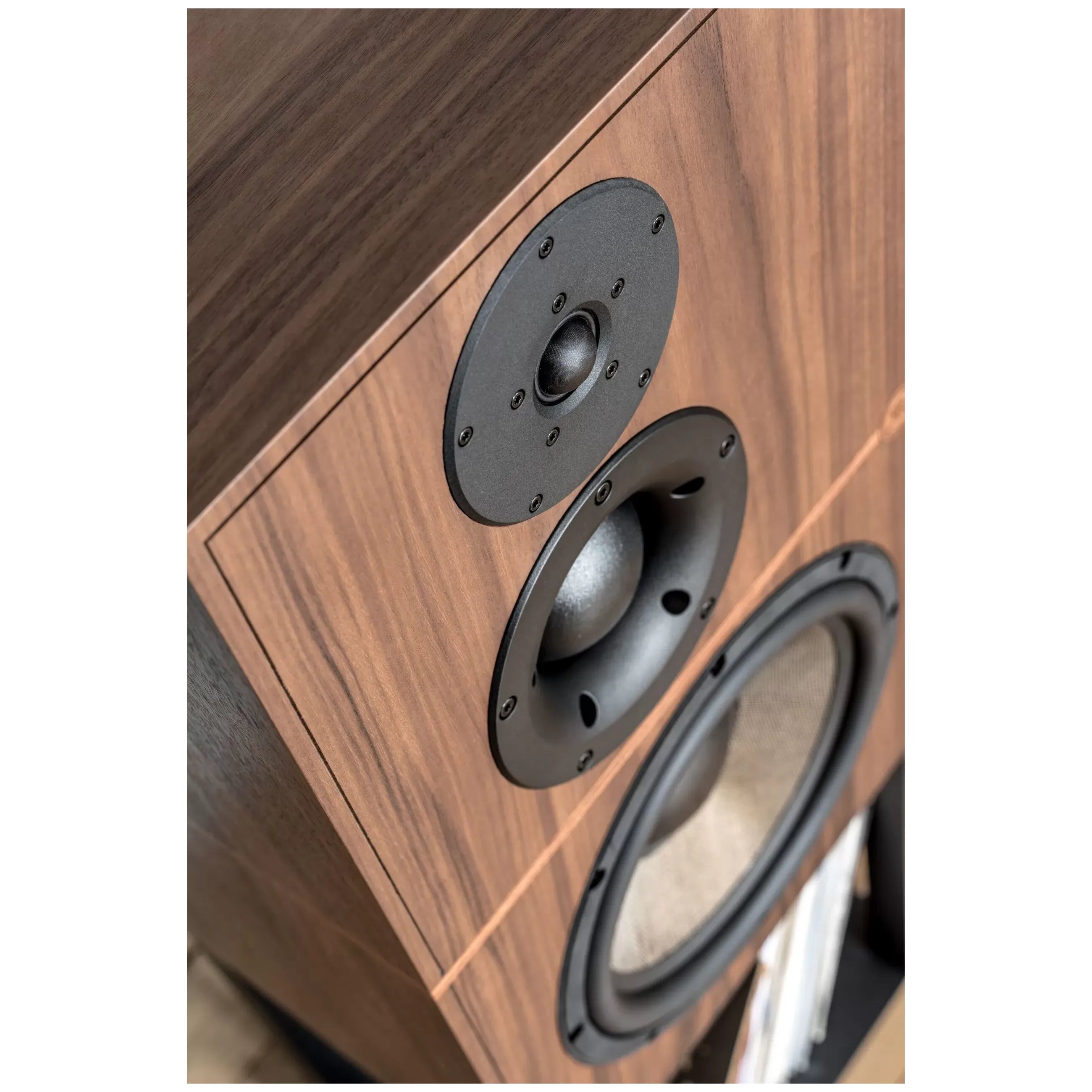 Revival Audio ATALANTE 5