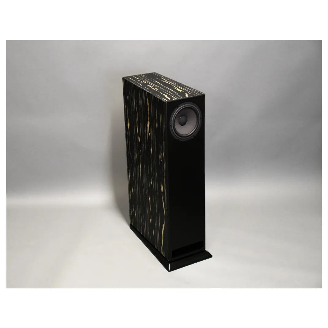 Enceintes Davis MV One Master