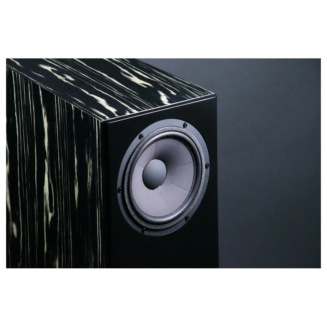 Enceintes Davis MV One Master