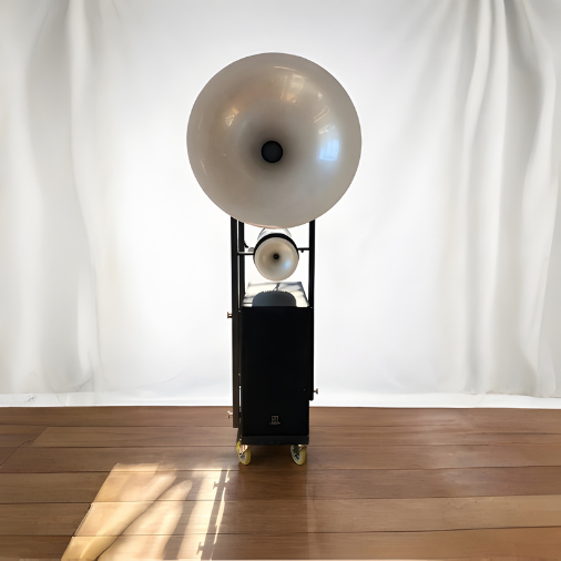 Enceinte pavillon Avantgarde Acoustic Duo 2.2