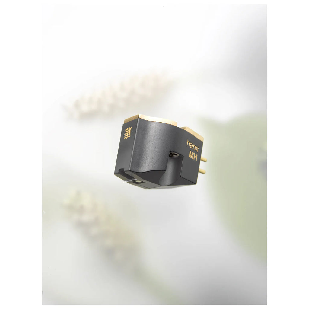 Cellule MC/MM Hana MH