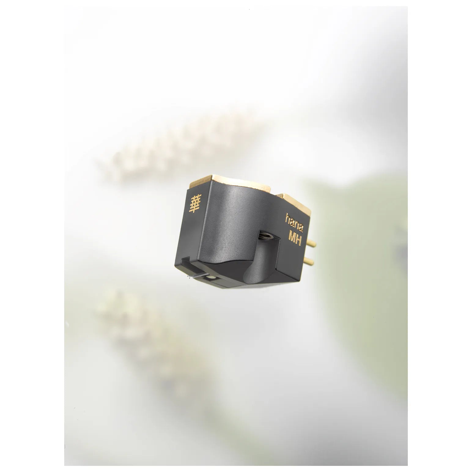 Cellule MC/MM Hana MH