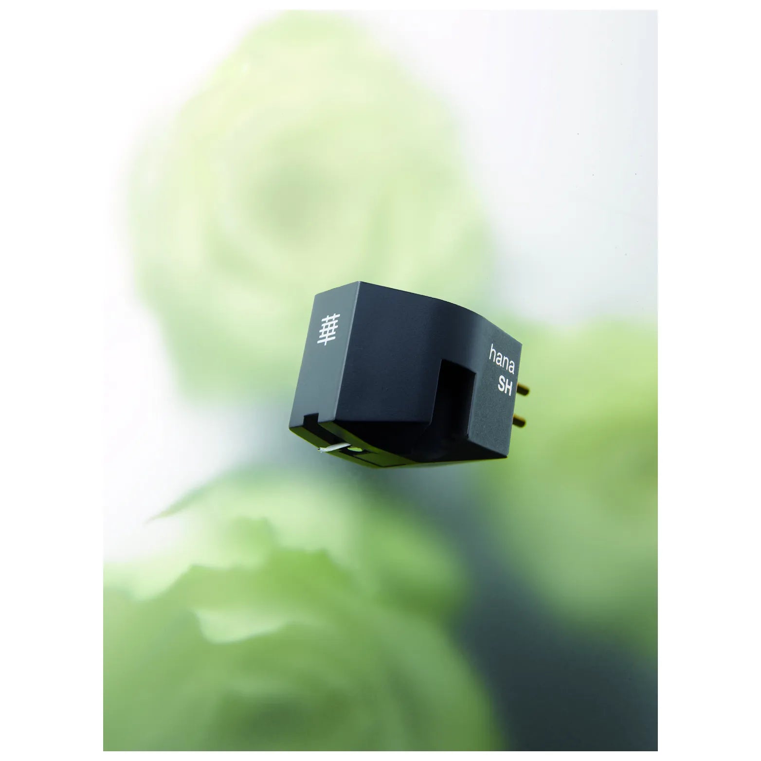 Cellule MC/MM Hana SH