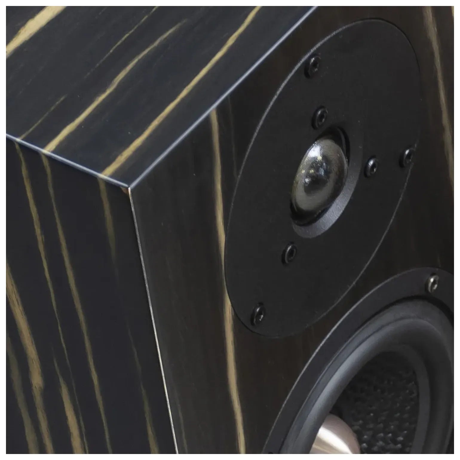 Enceinte bibliothèque Davis Acoustics Olympia One Master 35