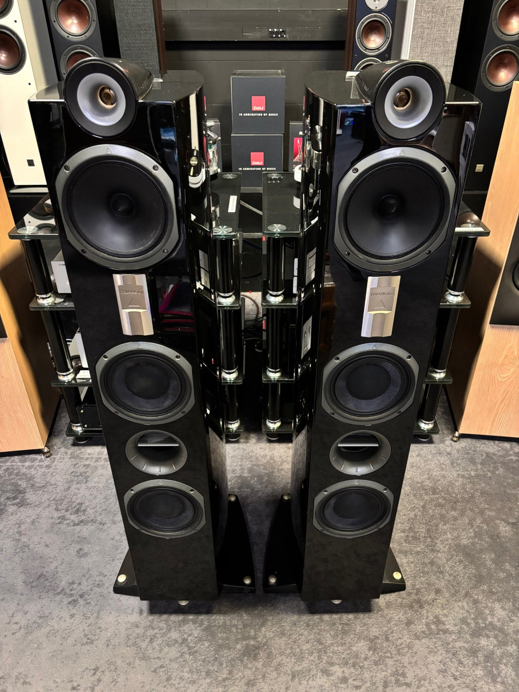 Enceintes Triangle Genese Quartet occasion