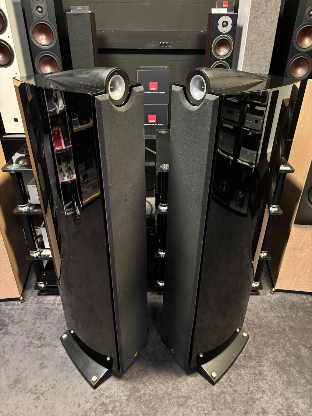 Enceintes Triangle Genese Quartet occasion