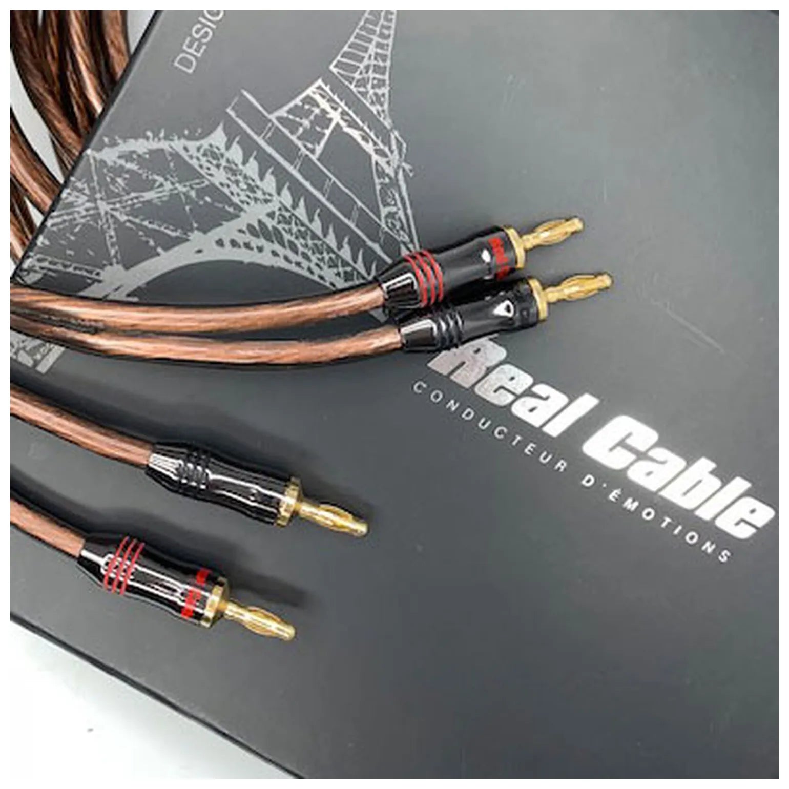 Câble haut-parleur Real Cable Elite 300 (2×3 m)
