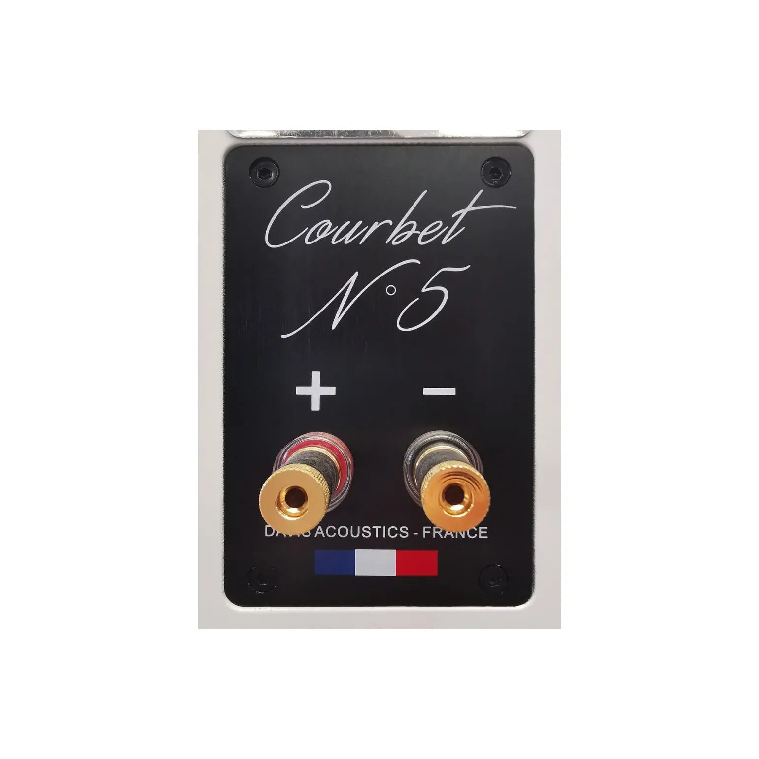 Enceinte colonne Davis Acoustics Courbet N°5