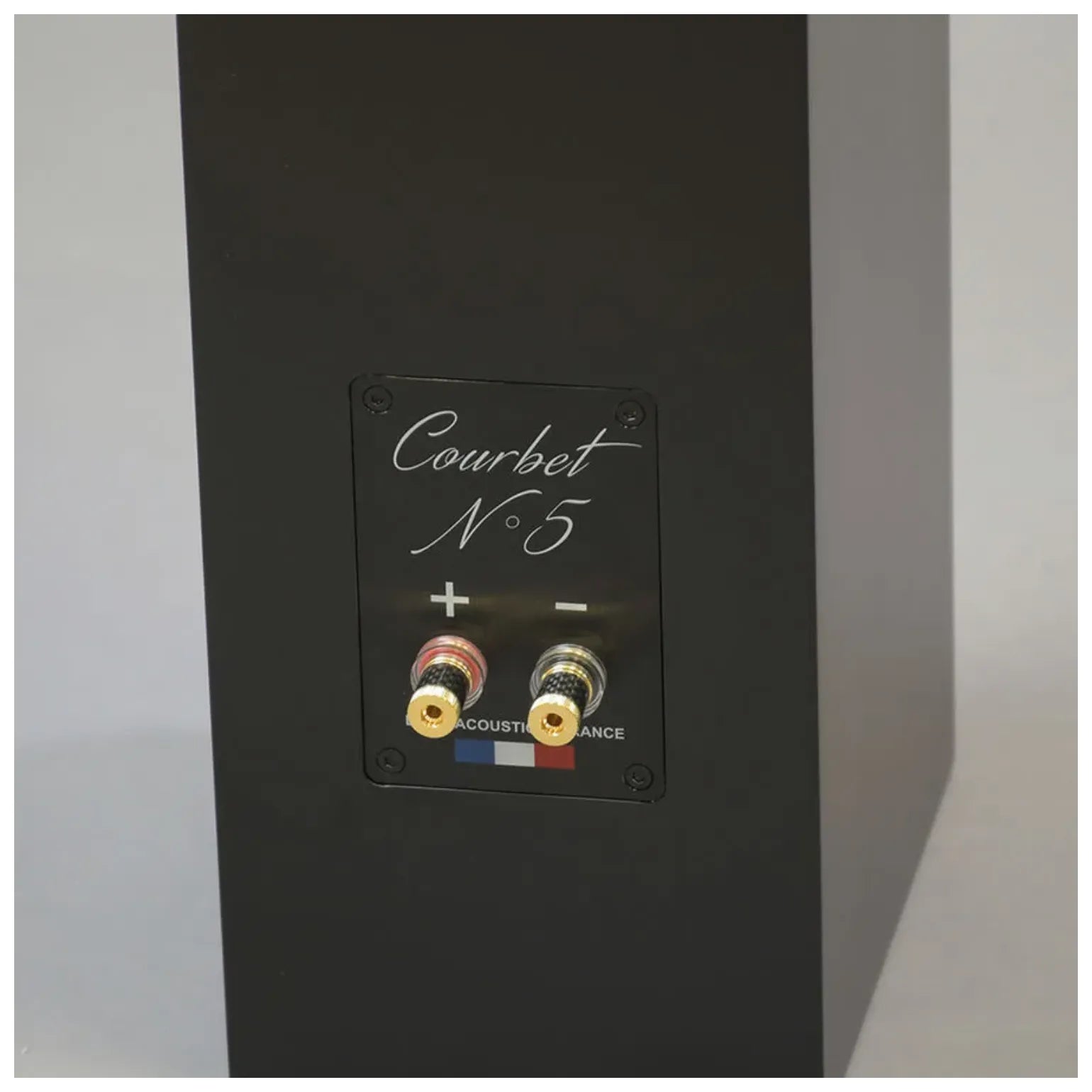 Enceinte colonne Davis Acoustics Courbet N°5