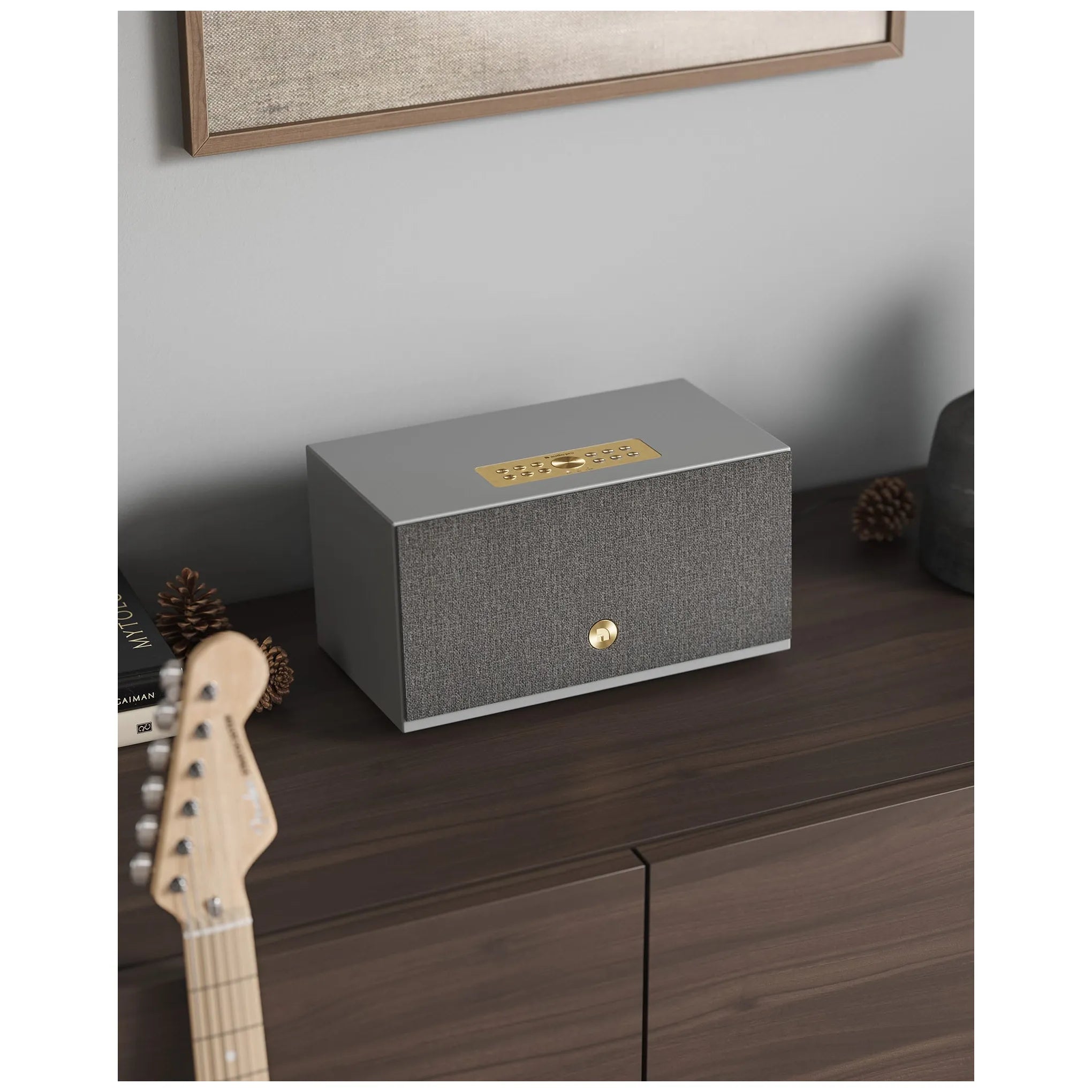 Enceinte Multiroom Audio Pro Addon C10 MKII Gris