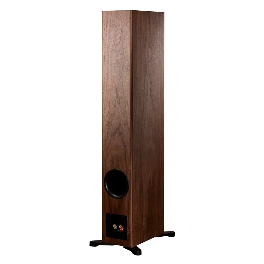 Enceinte colonne Dynaudio Evoke 50