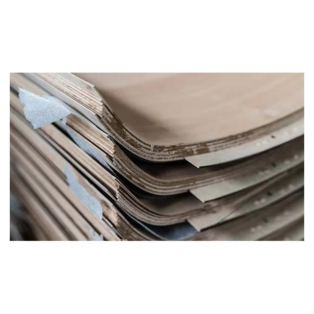 Enceinte Sonus Faber Olympica Nova I