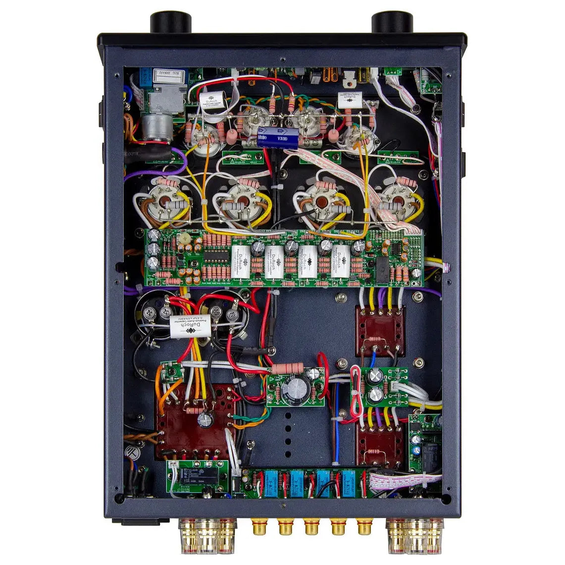 PrimaLuna Evo 100 (intégré)