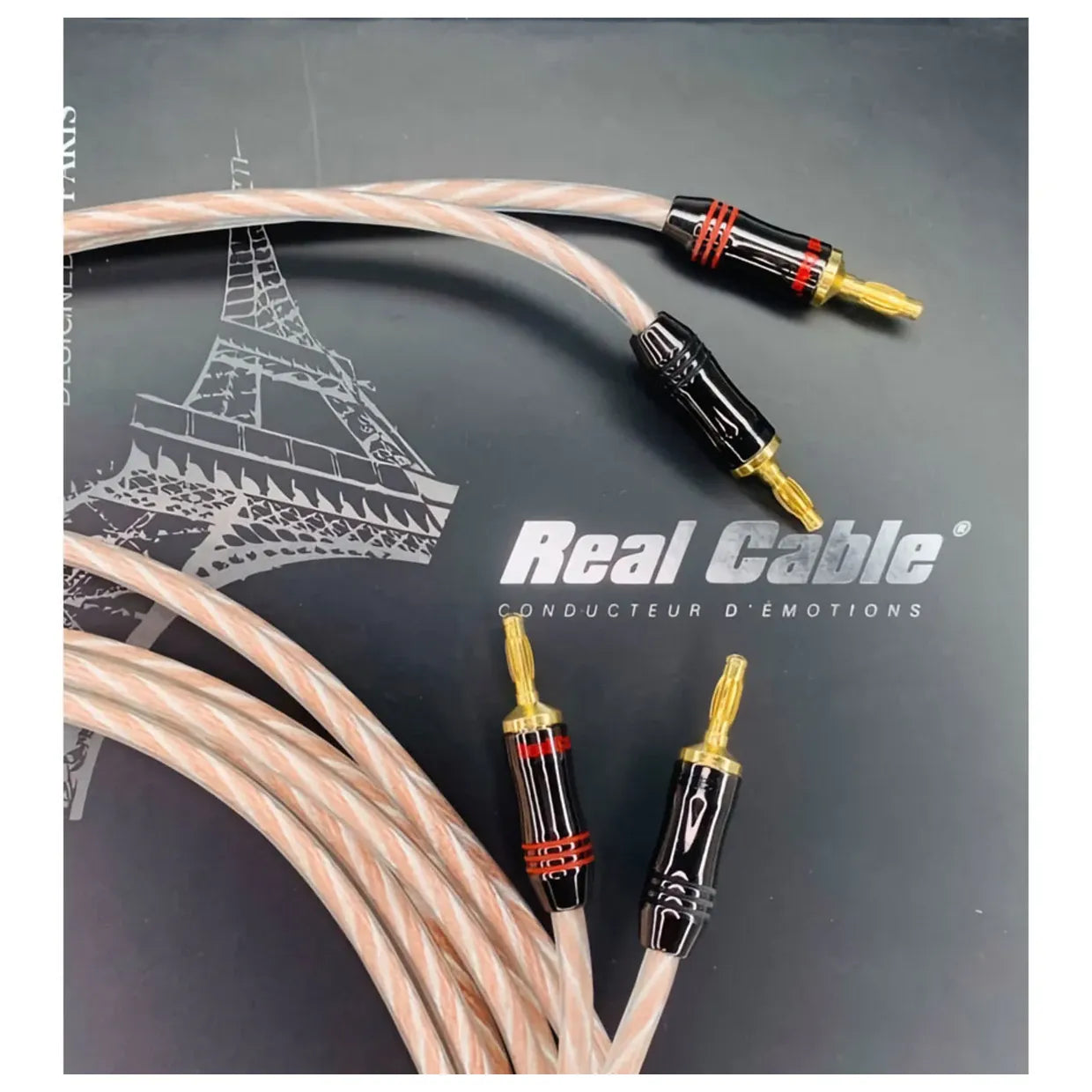 Câble d'enceintes Real Cable Prestige 400 (2x3 m)