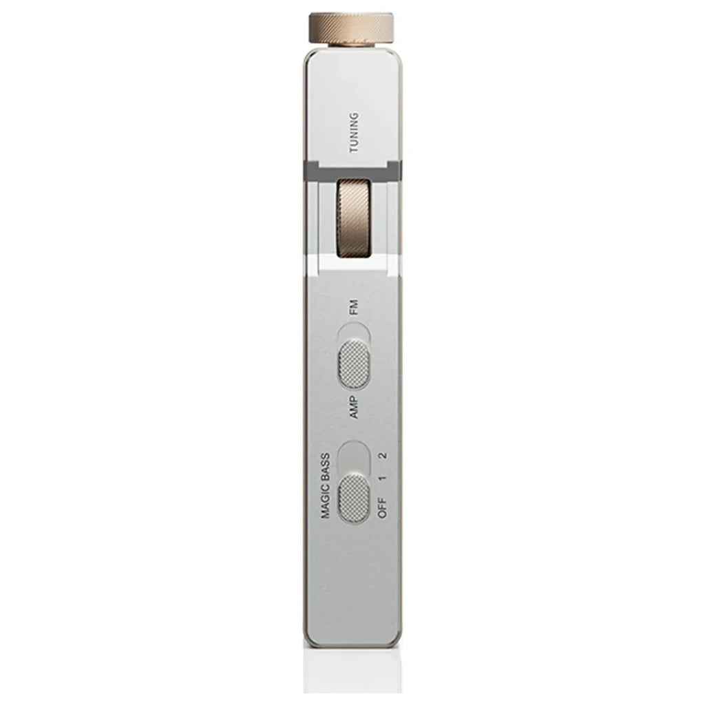 Tuner Portable FiiO RR11