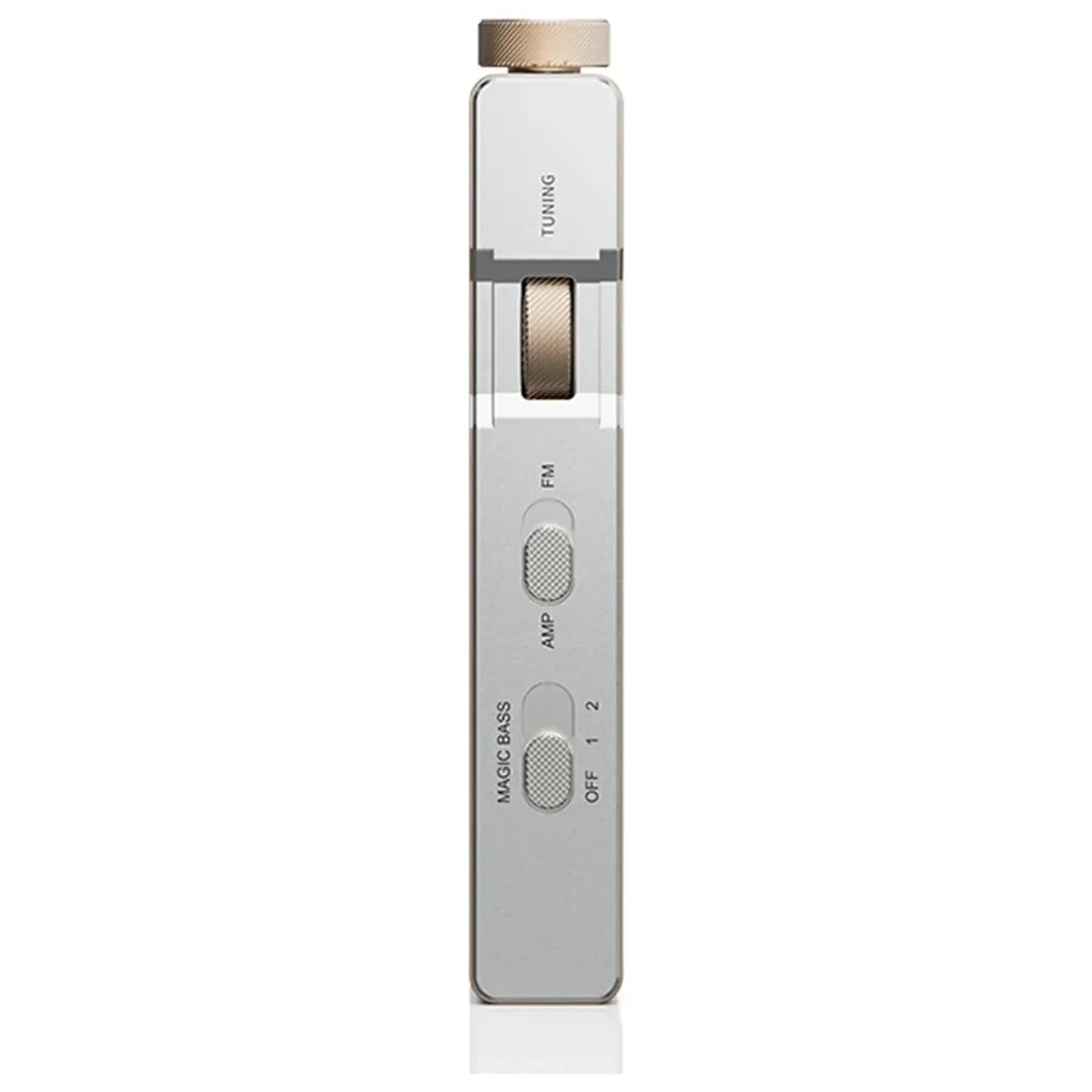 Tuner Portable FiiO RR11