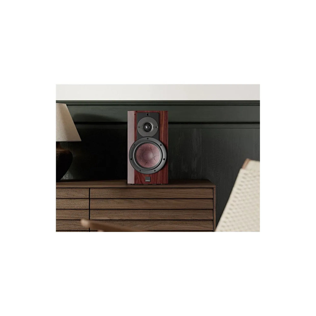 Enceinte bibliothèque Dali Rubikore 2