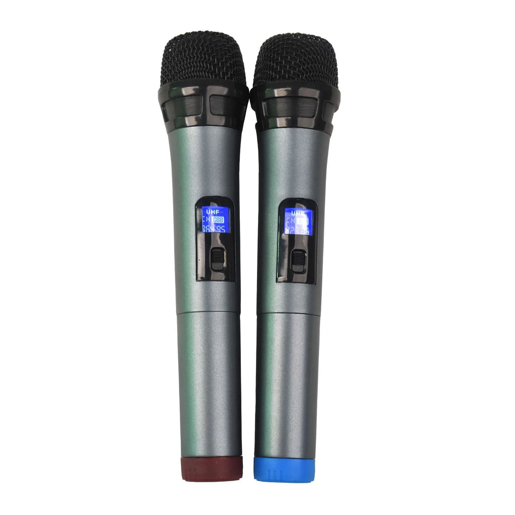 Funmove 250 Sono Portable 250 W sur batterie + 2 micros UHF