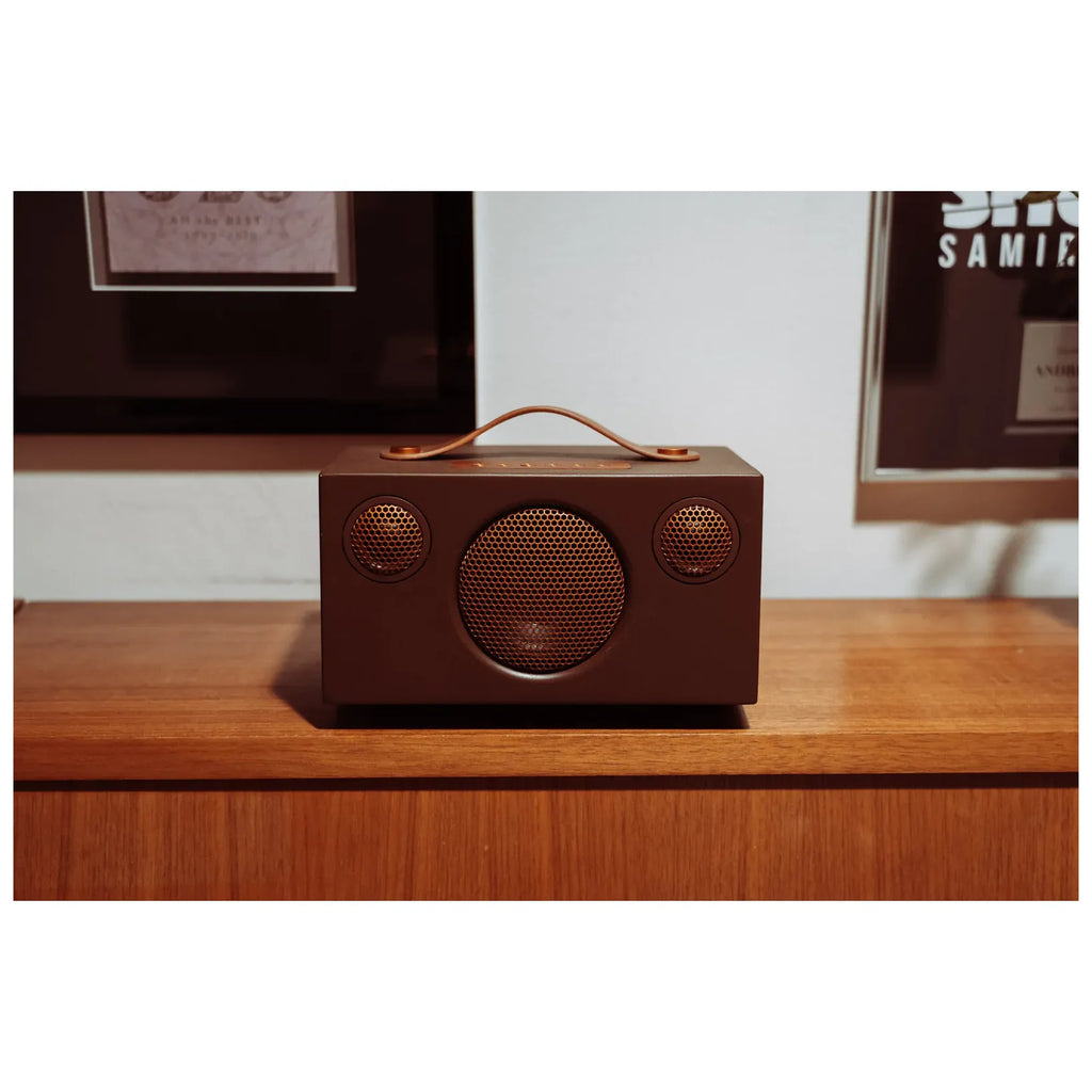 Enceinte Bluetooth Audio Pro Addon T3+